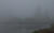 Mist on the Swamp